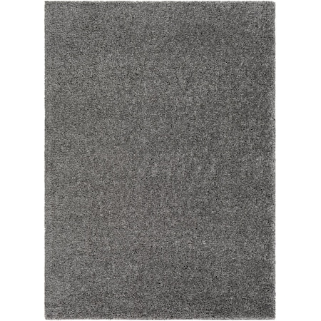 Livabliss Deluxe Shag DXS-2303 Machine Crafted Area Rug DXS2303-4357